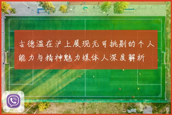 古德温在沪上展现无可挑剔的个人能力与精神魅力媒体人深度解析
